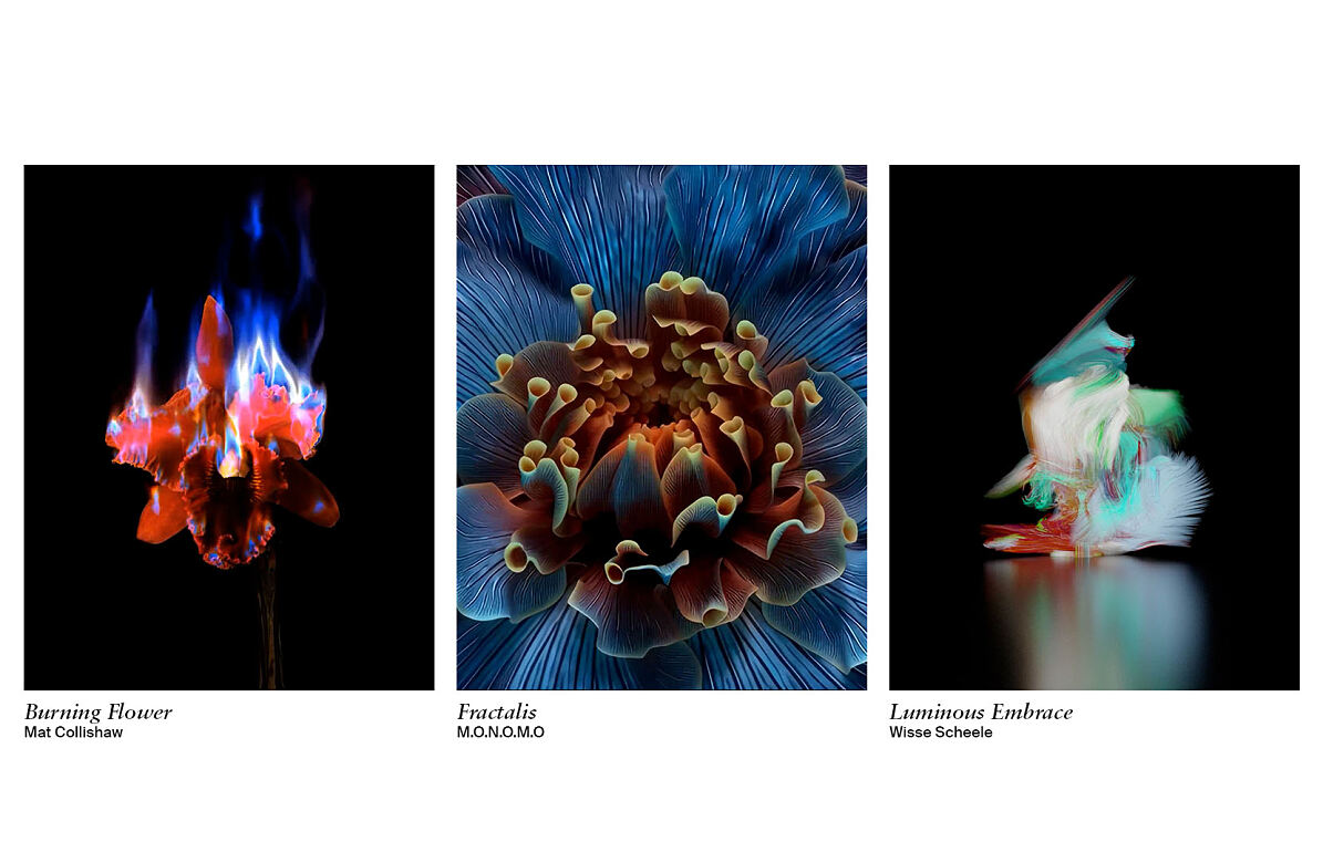 LG Gallery+ Sedition